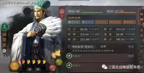 三国志战略版s1黄盖战法怎么配，三国志战略版s1黄盖战法