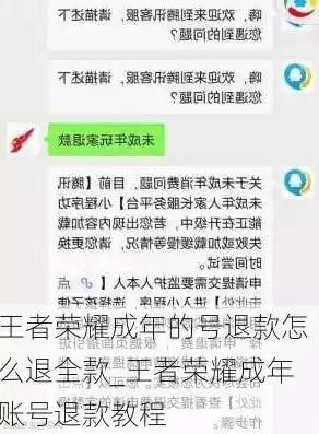 王者荣耀成年退款教程能退全部，王者荣耀成年退款教程，王者荣耀全面解析成年用户退款攻略，教你轻松退回全部游戏费用！