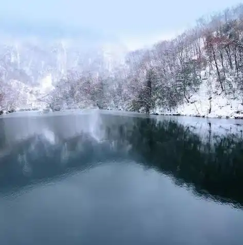 手游0.1折平台，探秘手游0.1折平台，优惠背后的真相与玩家攻略