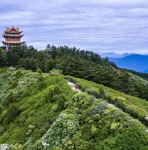 游戏0.1折平台，探秘0.1折游戏平台，优惠背后的真相与玩家体验全解析