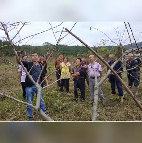 游戏0.1折平台，揭开0.1折游戏平台的魅力，超值优惠与隐藏风险全解析