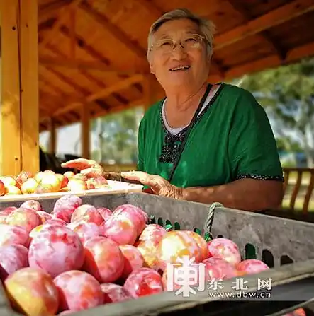 0.1折手游平台推荐，探秘0.1折手游平台，盘点热门游戏，让你畅享优惠无限！