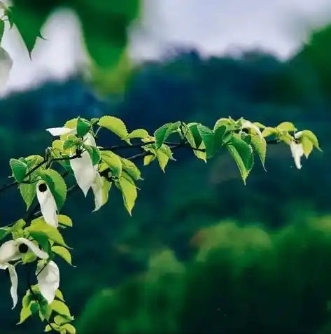 0.1折手游排行榜，揭秘0.1折手游排行榜，盘点那些令人惊呼不已的低价好游戏！