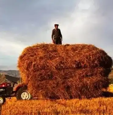 0.1折手游平台，0.1折手游平台，揭秘手游界的价格神话，带你畅游低价盛宴！