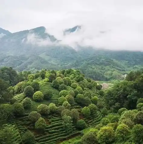 0.1折手游平台，揭秘0.1折手游平台，带你领略极致优惠的畅游之旅