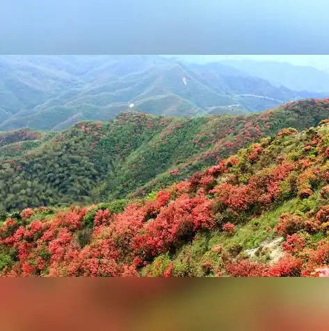 0.1折手游平台，揭秘0.1折手游平台，游戏爱好者的新天堂！