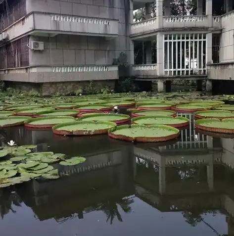 0.1折手游平台哪个好，深度解析，盘点0.1折手游平台，哪个平台最值得信赖？