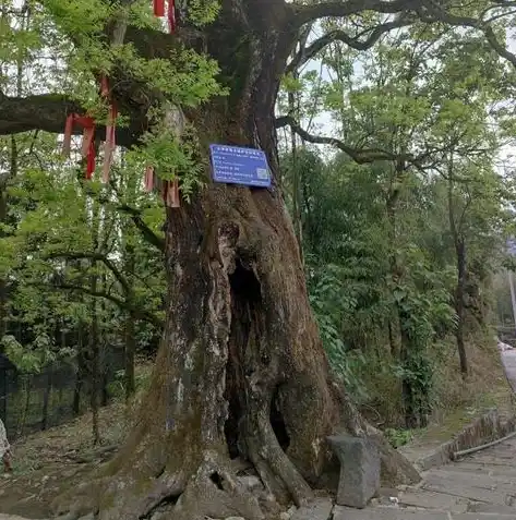 游戏0.1折平台，探索神秘领域，揭秘游戏0.1折平台的神奇魅力