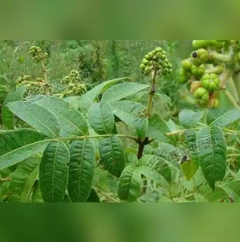 揭秘游戏圈低价奇迹，0.1折游戏背后的秘密