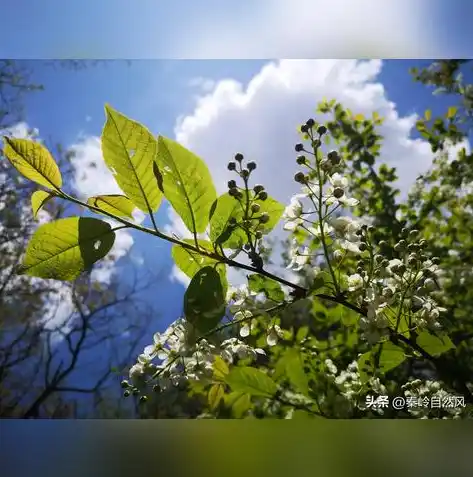 0.1折手游平台下载，探秘0.1折手游平台，下载攻略与游戏盛宴