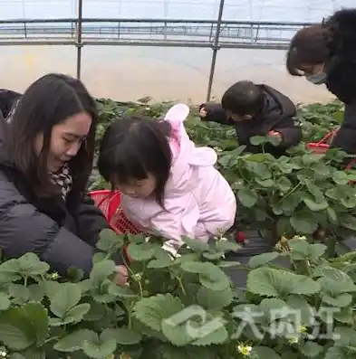 0.1折手游平台，探索0.1折手游平台，低成本畅享游戏乐趣的秘密基地！