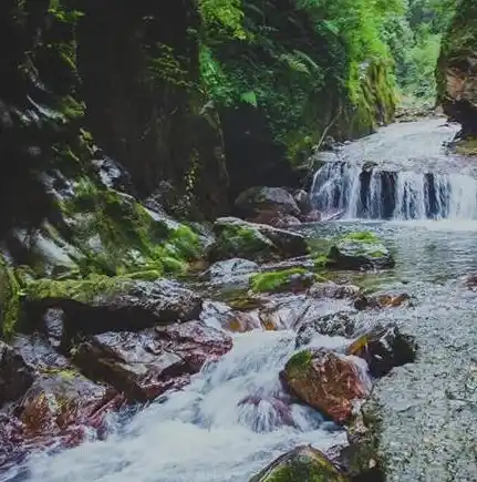 游戏0.1折平台，揭秘0.1折平台，揭秘游戏玩家心中的神秘天堂