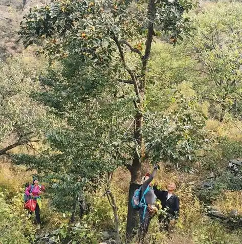 游戏0.1折平台，揭秘0.1折游戏平台，省钱购物的游戏天堂