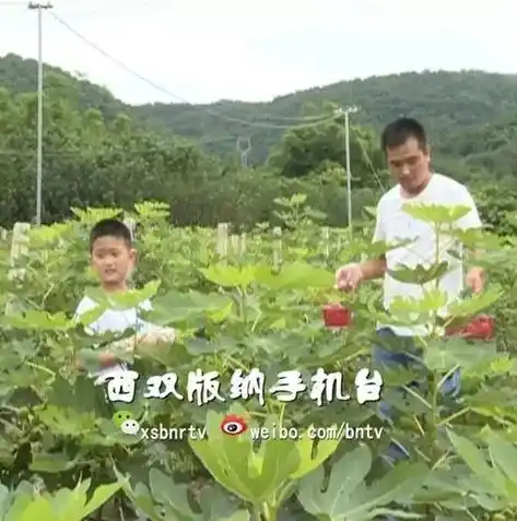 0.1折游戏平台，探秘0.1折游戏平台，低成本享受高品质游戏体验的秘密基地！