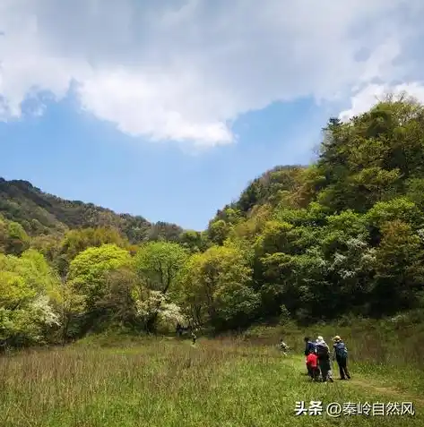 0.1折手游下载，探秘0.1折手游盛宴，下载攻略与独家评测