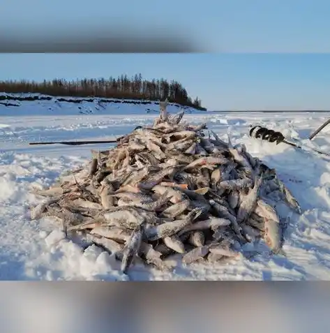 闪烁之光0.1折平台，揭秘闪烁之光0.1折平台，如何实现低成本游戏娱乐体验？