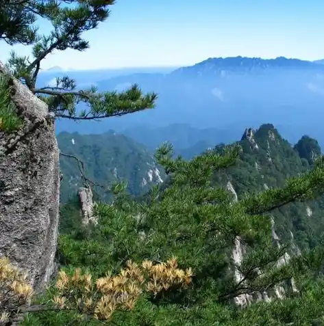 0.1折手游平台，揭秘0.1折手游平台，带你领略极致优惠的神奇之旅