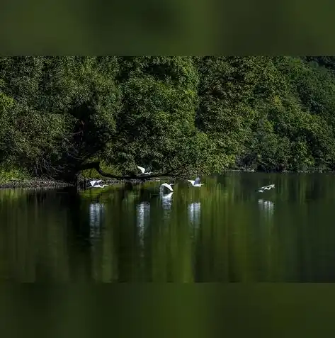 游戏0.1折平台，揭秘0.1折平台，游戏爱好者省钱新天堂