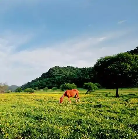 0.1折手游平台推荐，揭秘0.1折手游平台，轻松体验畅玩，尽享优惠乐趣！