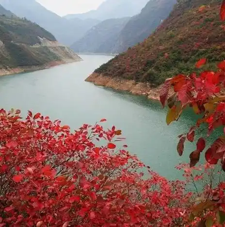 闪烁之光0.1折平台，揭秘0.1折平台，闪烁之光购物盛宴背后的秘密