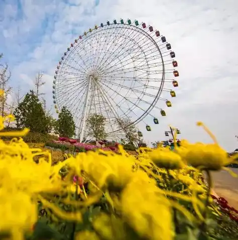 游戏0.1折平台，揭秘0.1折平台，游戏玩家省钱新选择，揭秘如何实现低成本畅游游戏世界！