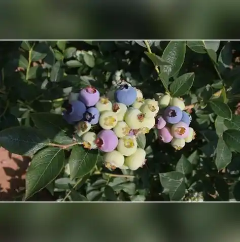 黑暗光年0.1折平台，黑暗光年0.1折平台，揭秘低价购物的神秘乐园