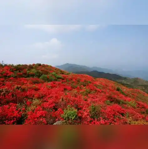 0.1折手游平台推荐，独家揭秘！0.1折平台带你畅游手游世界，错过等一年！