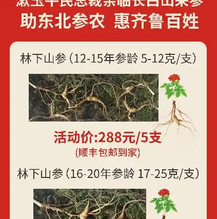 0.1折手游平台推荐，0.1折手游探秘神秘优惠平台，揭秘海量热门游戏免费畅玩攻略！