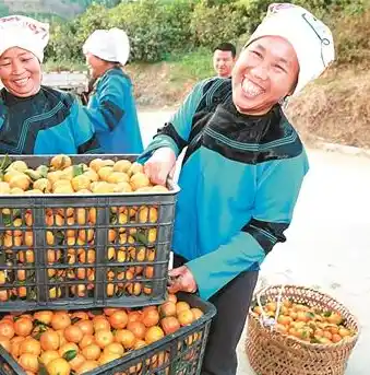 0.1折游戏平台，探秘0.1折游戏平台，带你领略超低折扣的狂欢盛宴！