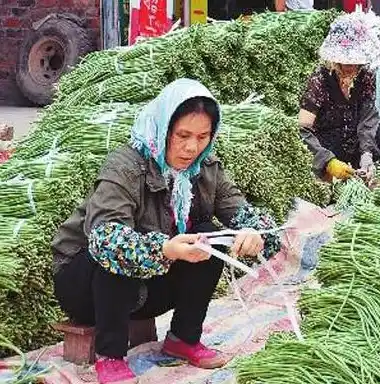 0.1折游戏平台，揭秘0.1折游戏平台，带你走进低价游戏新天地