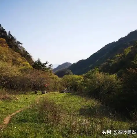 0.1折手游下载，探秘0.1折手游，下载攻略与热门推荐，让你体验不一样的游戏盛宴！