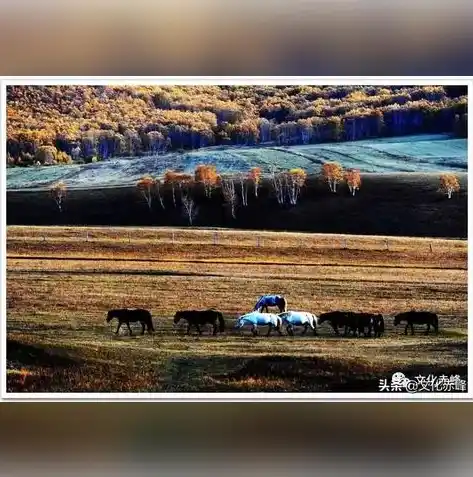 0.1折手游平台，0.1折手游平台，颠覆游戏市场，打造玩家专属福利天堂！