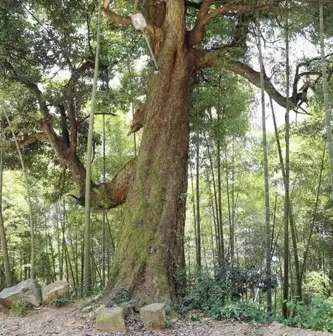 游戏0.1折平台，揭秘游戏0.1折平台，带你走进虚拟世界的省钱秘境