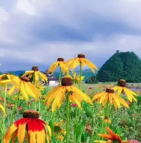 0.1折手游推荐，揭秘0.1折手游背后的秘密，优质游戏低价抢购攻略！