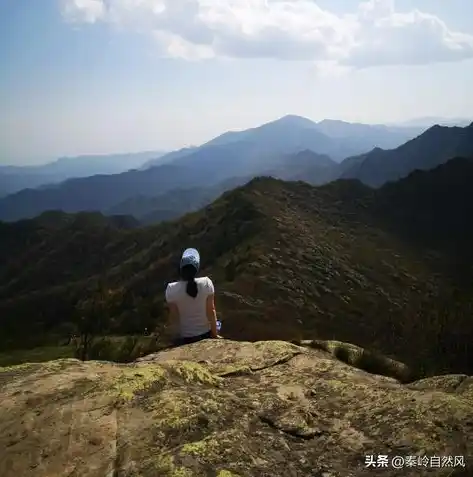 0.1折手游下载，探秘0.1折手游，下载攻略与独家评测，带你领略超值游戏盛宴！