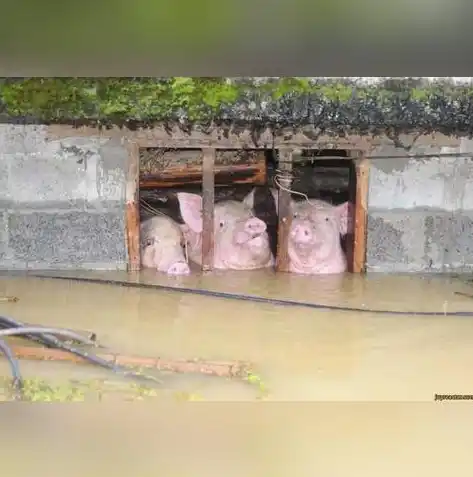 动物历险记0.1折游戏，动物历险记，探秘神秘森林，开启奇幻之旅，仅需0.1折！