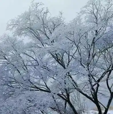 0.1折游戏平台，探秘0.1折游戏平台，低价狂欢背后的秘密与诱惑