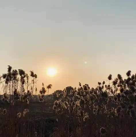 0.1折手游平台，揭秘0.1折手游平台，如何实现超值游戏体验，助力玩家畅享欢乐时光