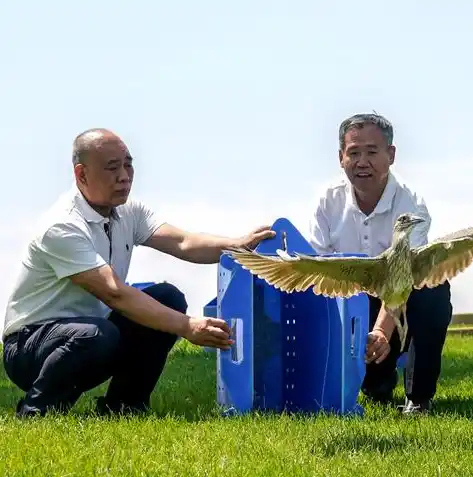 动物历险记0.1折游戏，动物历险记，奇幻旅程，0.1折畅游无限