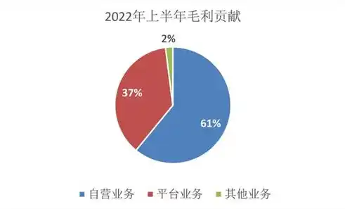 揭秘0.1折平台，揭秘其运作模式、风险与机遇