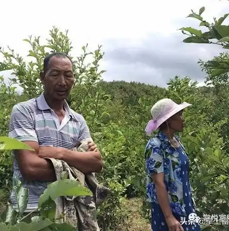 0.1折手游平台，0.1折手游平台，开启你的游戏狂欢之旅，尽享海量游戏大优惠！