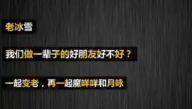 爱琳诗篇0.1折平台，爱琳诗篇0.1折平台，揭秘电商界神秘折扣宝地，畅享购物狂欢盛宴！