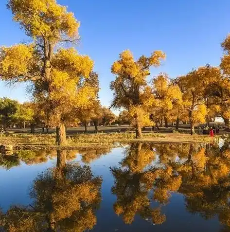 0.1折游戏套路，梦幻价格，超值享受！揭秘0.1折游戏背后的神奇魅力