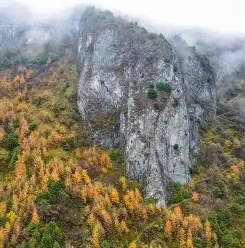 0.1折游戏平台，0.1折游戏盛宴，揭秘游戏界的隐藏宝藏，带你畅游低价游戏世界！