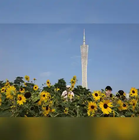 闪烁之光0.1折平台，揭秘闪烁之光0.1折平台，购物新体验，省钱达人必看！