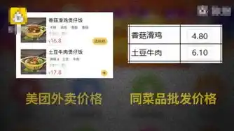 0.01折手游，0.01折手游，揭秘低价背后的真相，揭秘低价背后的真相，揭秘低价背后的真相