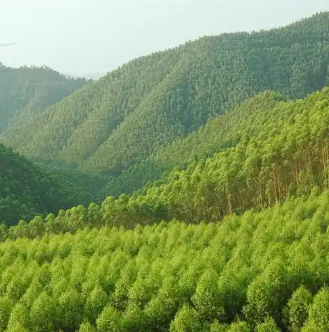 0.1折手游平台，揭秘0.1折手游平台，如何实现游戏零成本畅玩，带你走进游戏世界的秘密花园