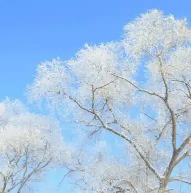 闪烁之光0.1折平台，闪耀之光，惊喜无限——揭秘0.1折平台背后的秘密