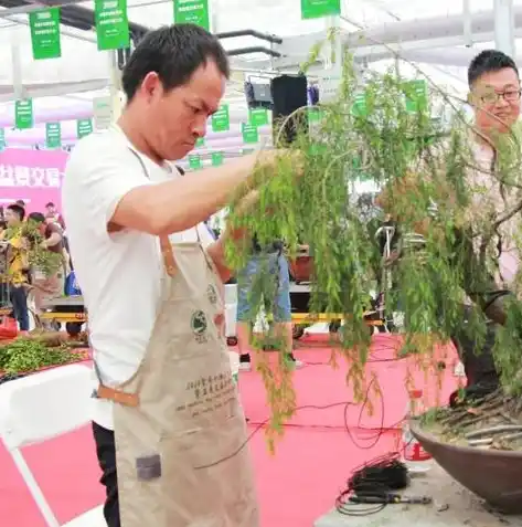 0.1折手游平台app排行榜，揭秘0.1折手游平台，盘点最新app排行榜，轻松享受游戏盛宴！