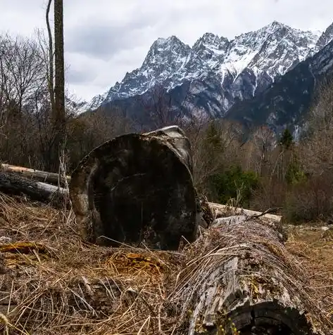 0.1折游戏平台，揭秘0.1折游戏平台，如何以极低价格享受高质量游戏体验？